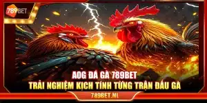 AOG đá gà 789Bet – Trải nghiệm kịch tính từng trận đấu gà