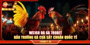 WS168 đá gà 789Bet – Đấu trường gà cựa sắt chuẩn quốc tế