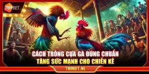 Cách trồng cựa gà đúng chuẩn – Tăng sức mạnh cho chiến kê