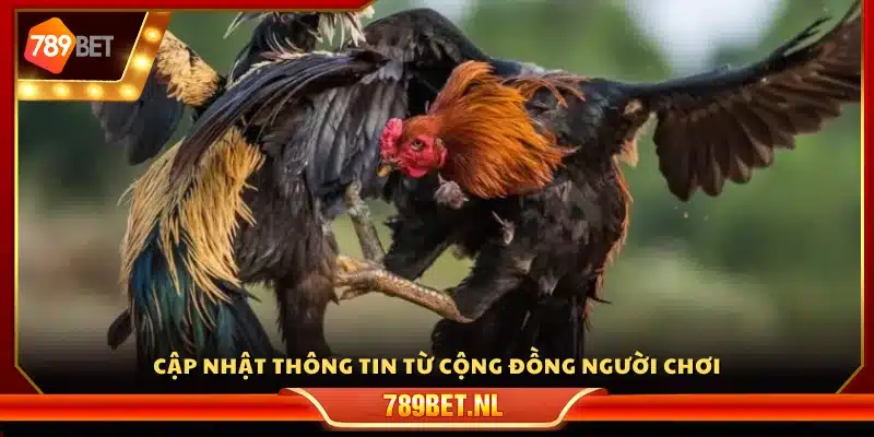 Theo dõi tin tức từ hội nhóm người chơi