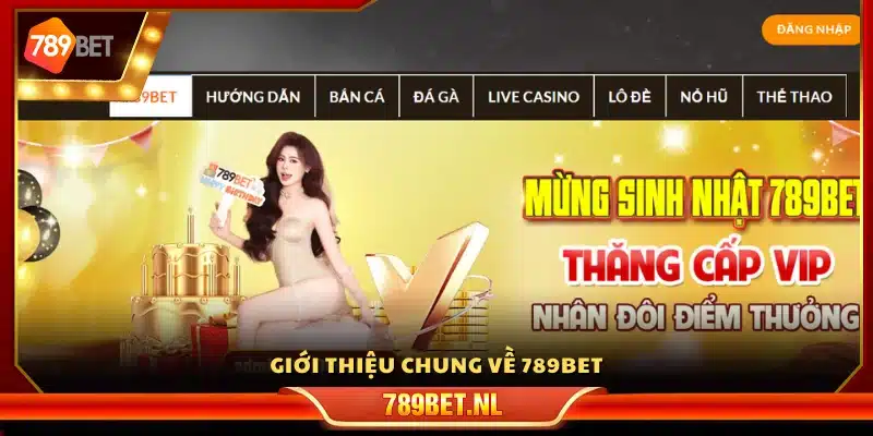Giới thiệu 789bet - Vài nét nổi bật về nhà cái 