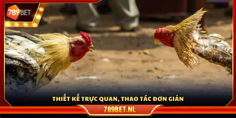 Thiết kế trực quan, thao tác đơn giản