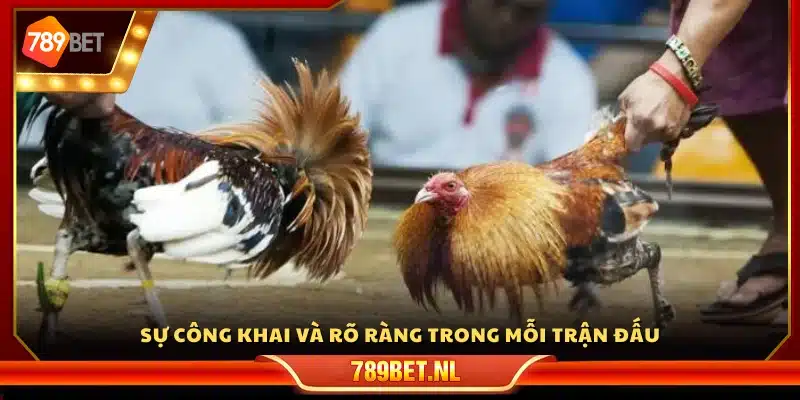 Sự công khai và rõ ràng trong mỗi trận đấu