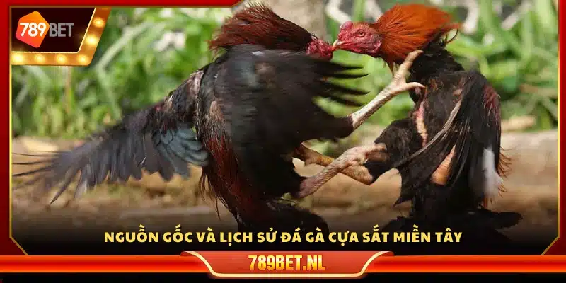 Lịch sử phát triển trò đá gà cựa sắt miền Tây