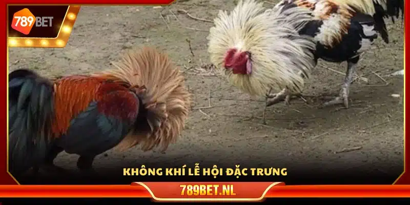 Bầu không khí sôi động mang đậm chất lễ hội