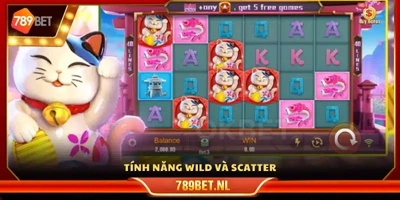 Biểu tượng Wild và Scatter