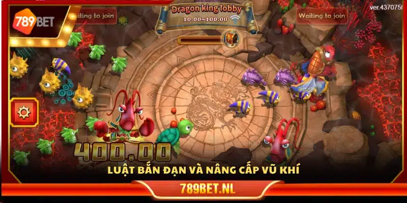 Quy tắc bắn đạn và tăng cấp súng