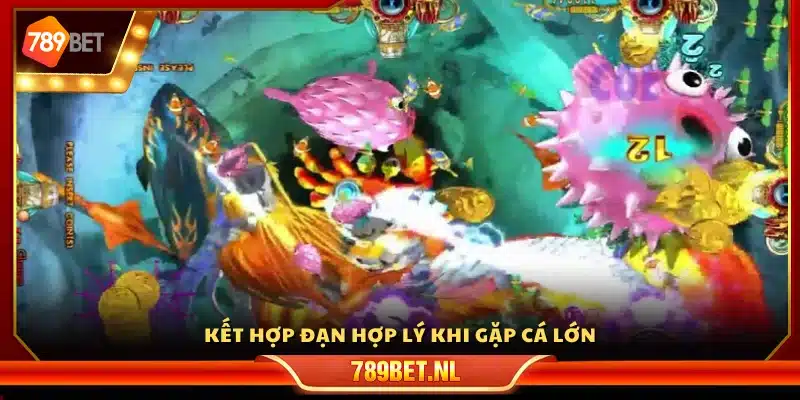 Sử dụng đạn linh hoạt khi gặp cá khủng