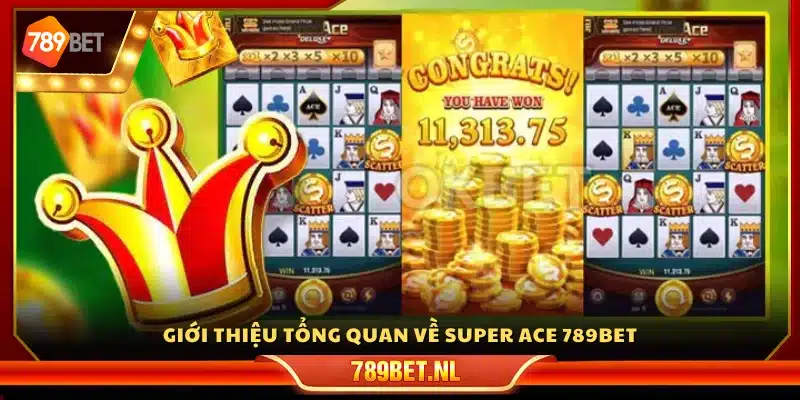 Vài nét về trò chơi Super Ace 789Bet