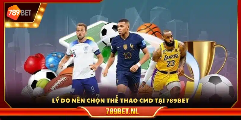 Điểm nổi bật khiến sảnh CMD trở thành lựa chọn hàng đầu