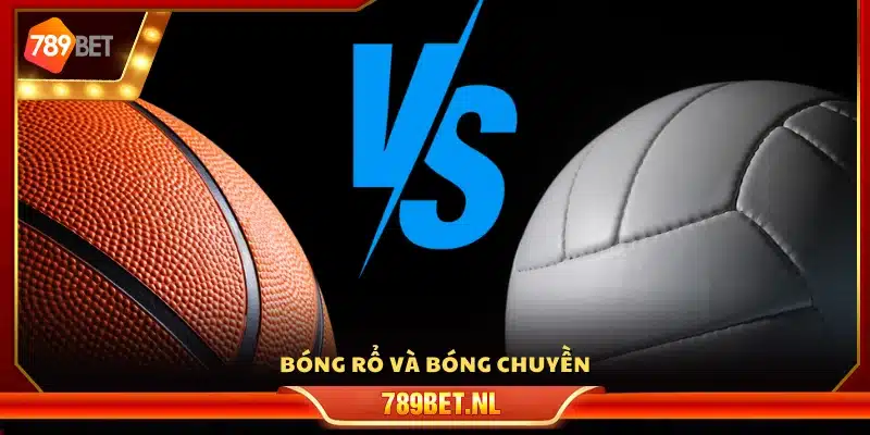 Sôi động với bộ môn bóng rổ và bóng chuyền